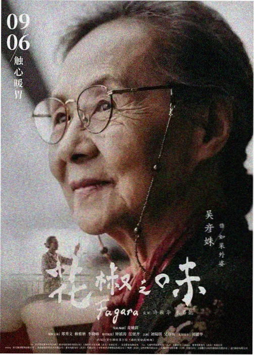 奇米影视电影动画索引中星尘拾荒者的海报